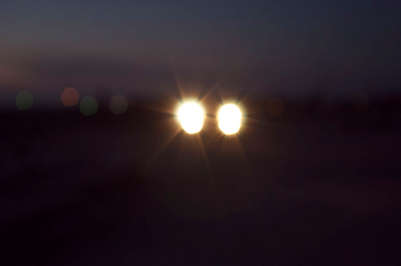 Illustration for article titled Shooting Challenge: Bokeh, Gallery 2